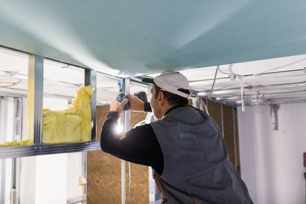 Best Insulation Installation Services in North Pekin, IL